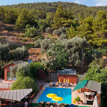 Kabak Armes