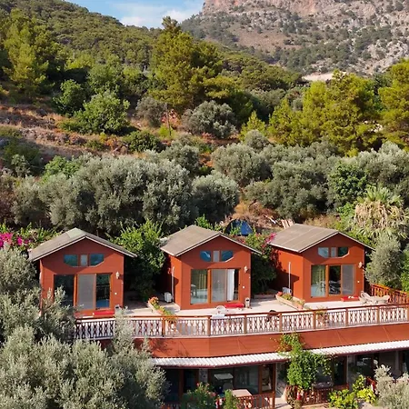 Hotel Kabak Armes